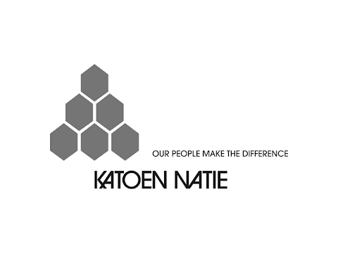 KNS logo