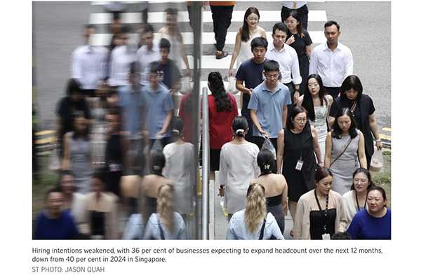 Cover image for More companies in Singapore set to freeze wages as outlook sours: SBF survey
